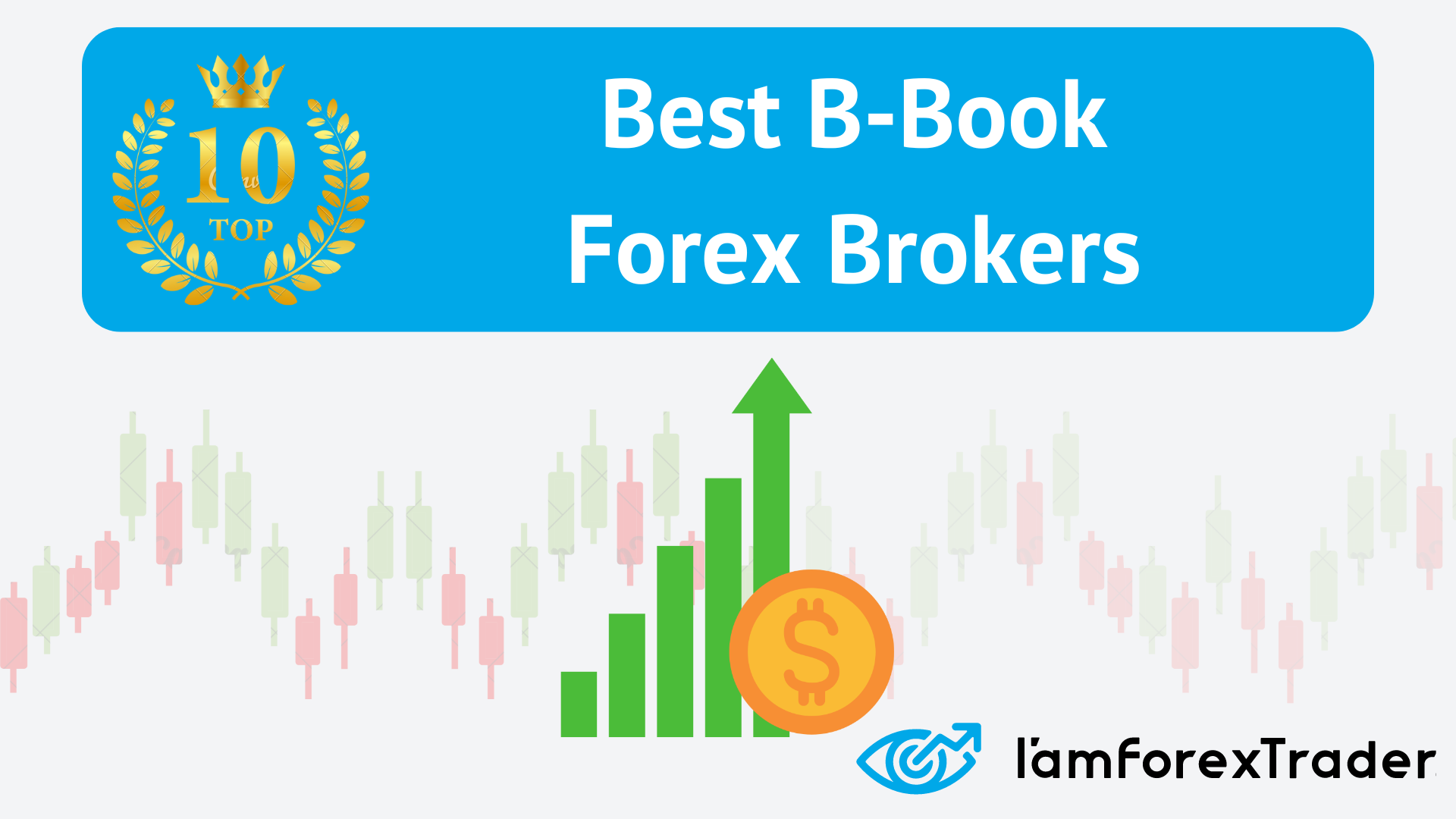 10 Best B-Book Forex Brokers For 2024